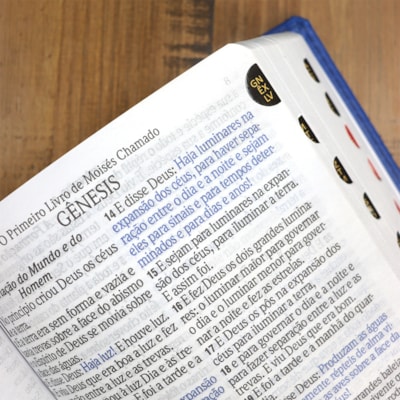 image_347815bf-d2b8-4080-831c-ef97b2544a58