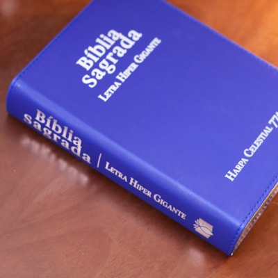 image_e407bd02-f7aa-4c33-b602-c9c228c2704a