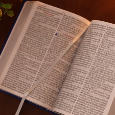 image_5d71089a-50b0-439d-b62f-3c5e4d848954