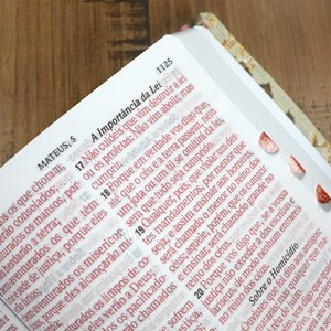 Bíblia Sagrada | ARC | Letra Hipergigante | Capa Luxo Floral Pink | Harpa 774
