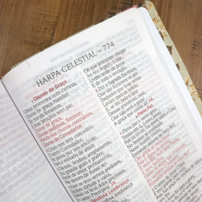 image_c559b651-dee9-4427-abdf-e9184a386641