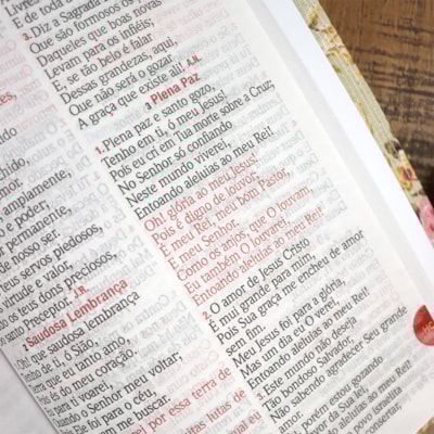 image_80187e82-574d-4f26-9165-d945267984a3