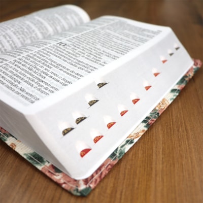 image_1b822337-ca06-4d1c-82ed-0ce748fb5046