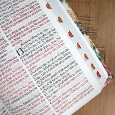 image_db277e55-c618-4325-9444-9c8ff1f7c54d