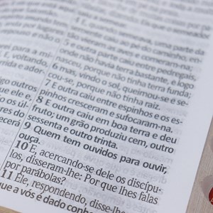 Bíblia Sagrada | ARC | Letra Hipergigante | Capa Luxo Marrom