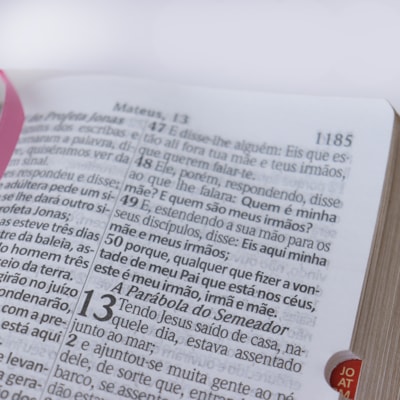 image_b0f387a7-90f6-465f-8ac9-3d9949446604