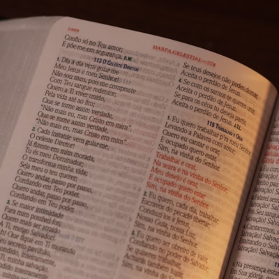 image_8259cc4c-a375-4b80-b300-8e82e3f04da3