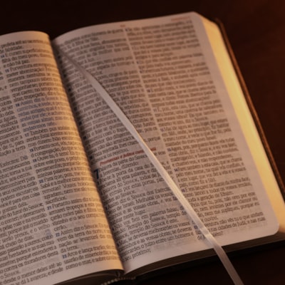 image_08becfb0-1832-4321-8086-908038d9bd80