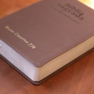 image_f244abf9-d016-437d-9c8d-68393954d3ea