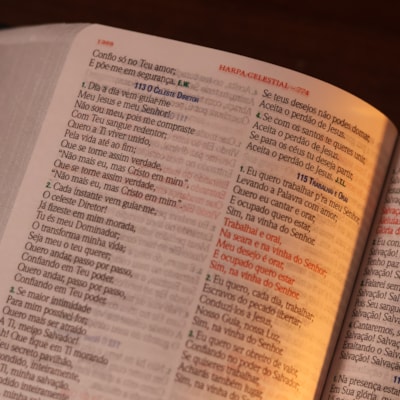 image_cc9cd9e8-7893-44b4-854d-98dc7e0e5f17