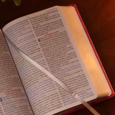 image_2921bba6-6d6e-462f-8434-3e6bc1df508a