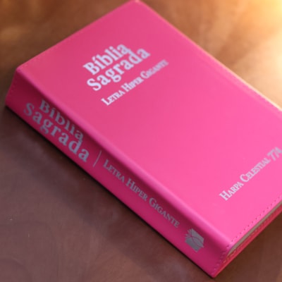 image_765264ef-e73d-45d8-ae0d-2f2e1c2e289e