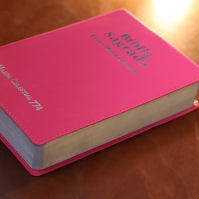 image_9f5b2d55-238f-4bfb-a981-57ddbef6fc5d