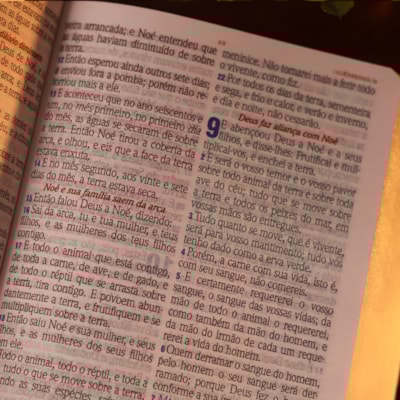 image_93899375-136d-4335-87d2-f7a473c72a7c