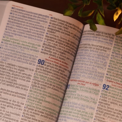 image_7768519b-c3d4-4214-a196-2076f67d9943