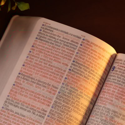 image_dfd4256f-9200-4795-922b-1a48a286a05d