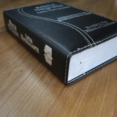 image_1db1a6d2-ae34-4af8-827f-17b3deeb15d0