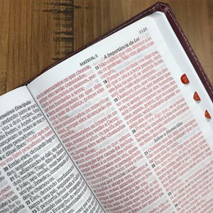Bíblia Sagrada | ARC | Letra Hipergigante | Capa Luxo Preta e Vinho  | Harpa 774