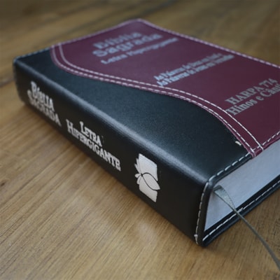 image_95c71a2f-62ec-4f24-a5c6-0241ac4fa523