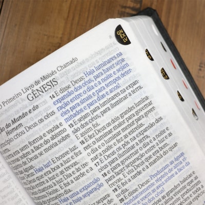 image_25a3d024-5c70-4213-b13b-728ead79adae