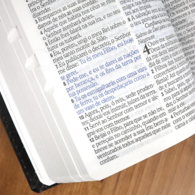 image_370a511f-8e62-4253-9ec1-050f126ab181