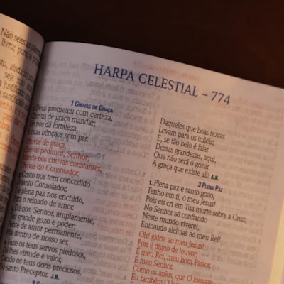 image_a897012b-7e4d-478b-b996-781b9c72157b