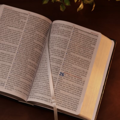 image_79ba4187-f725-4c4d-b704-ce60682f04f3