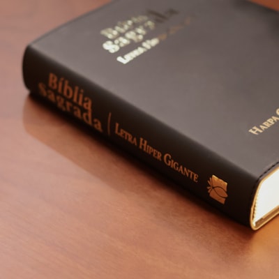 image_2c890ea8-3548-4a36-ad12-9a4689fecabb