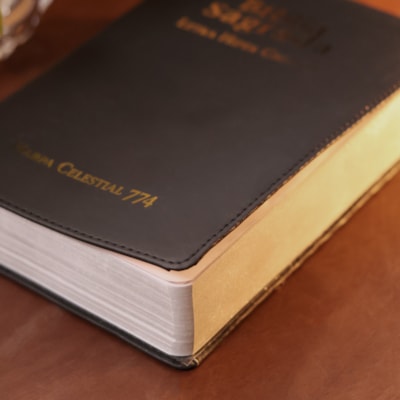 image_d6c58661-805a-4f5d-99d3-ef03f9c888bf