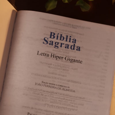 image_7ee4fc44-cc87-48ef-a0ab-2fa3046e1b1b