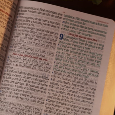 image_68feb67e-a6e7-4f72-a18e-4c75ef074b3b