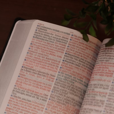 image_9827d57e-98f6-424b-87ab-9429831bf0e5