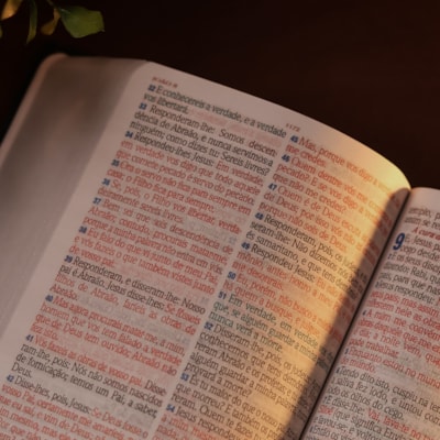 image_5d27d1ef-9d19-4850-99e0-bf11bbb0a9cc