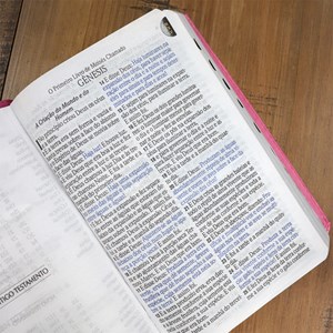 Bíblia Sagrada | ARC | Letra Hipergigante | Capa Luxo Rosa | Harpa 774