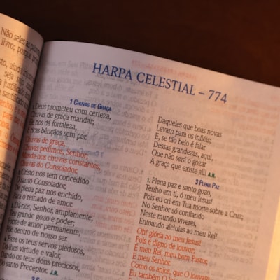 image_b7e950fd-6c62-4912-a2b6-f45590a27f45