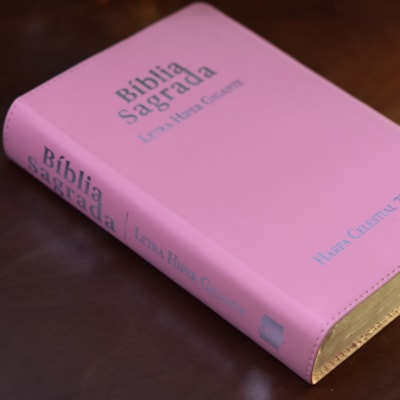 image_90b65ec9-61a1-4716-be57-d11ca9529e3f