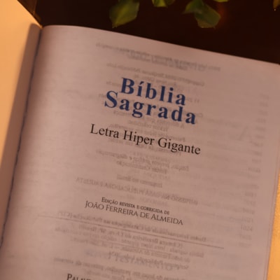 image_ab8d9eda-5e59-43c6-9337-22ea682d6519