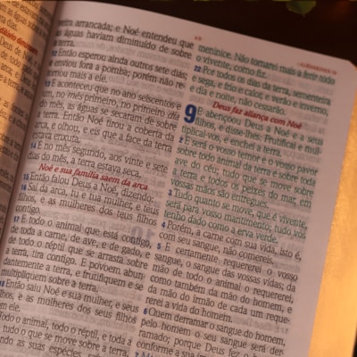 image_9abc91db-5167-4bdc-a8e0-7dfcdebda23b