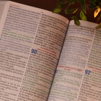 image_cb63723a-982e-4c46-9fce-5694e37ad91f