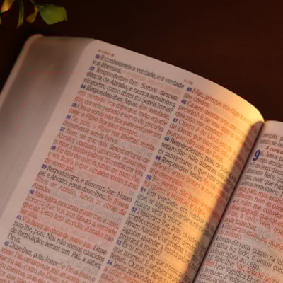 image_d1d5445a-6621-47f1-8f9a-4193ddce8016