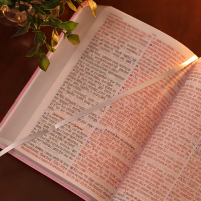 image_a0c660ea-d6d3-4af4-9620-0eb11d067518