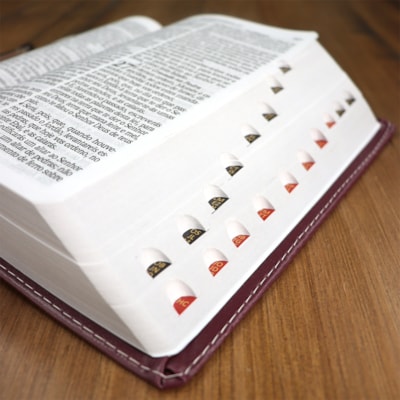 image_fc812c41-01aa-4992-8fb9-c763a91c0ba2