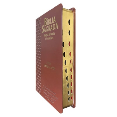 image_a042688e-879b-4653-86ff-10888eb206fe