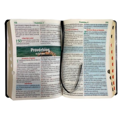 image_bb2c4bd3-dd9e-447c-9183-d00e648b2c18