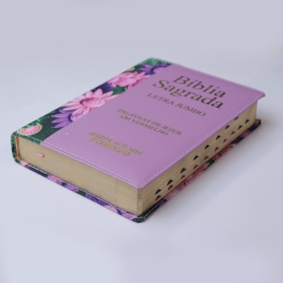 image_72879daa-60b9-4062-b43e-28e5635c95f3