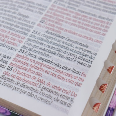 image_aeca21fe-9158-45e7-99d6-ad6aca74f5d3