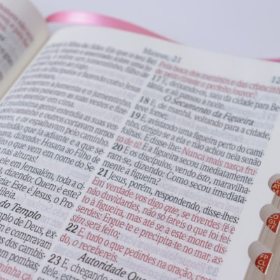 image_e11c8b9b-00f4-4a50-a960-bb857ae8b0c6