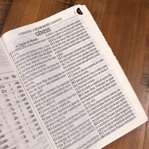 Bíblia Sagrada | ARC | Letra Jumbo | Capa Luxo Bicolor Rosa