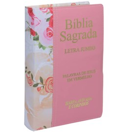 Bíblia Sagrada | ARC | Letra Jumbo | Capa Luxo Bicolor Salmão