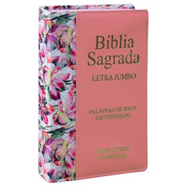 Bíblia Sagrada | ARC | Letra Jumbo | Capa Luxo Bicolor Salmão | Harpa Avivada e Corinhos